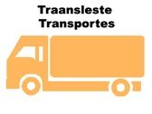 Logo Traansleste Transportes