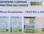 Nova carteira de habilitação será criptografada