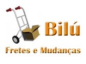 Fretes E Mudanças Bilú