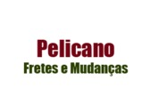 Pelicano Fretes e Mudanças