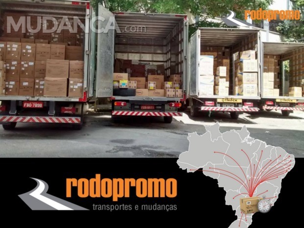 Transportadora de carga, distribuição de carga, transportes urgentes