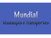 Mundial Mudanças E Transportes