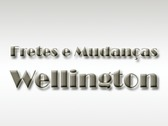 Fretes E Mudanças Wellington