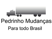 Pedrinho Mudanças e Transportes