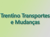 Logo Trentino Transportes E Mudanças