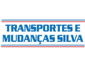 Mudanças Silva