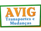 Avig Mudanças