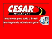 Cesar Mudanças e Transportes