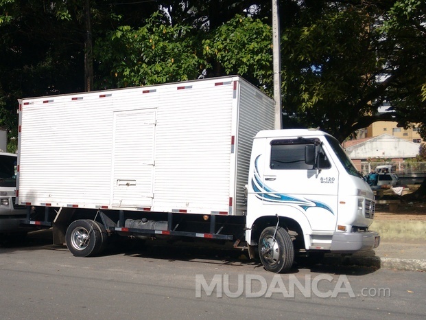 Caminhões novos e organizados