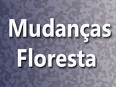 Mudanças Floresta