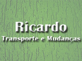 Transporte E Mudanças Ricardo