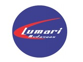 Logo Lumari Mudanças e Transportes