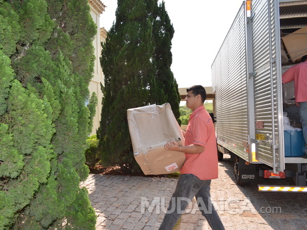 Peziolo Mudanças e Transportes