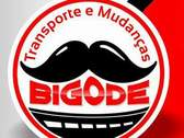 Bigode Mudanças e Transportes