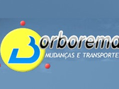 Borborema Mudanças E Transportes