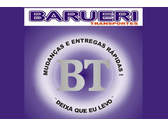 Logo Barueri Transportes