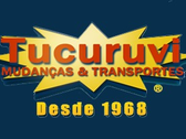 Tucuruvi Mudanças E Transportes