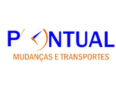 Pontual Mudança E Transporte